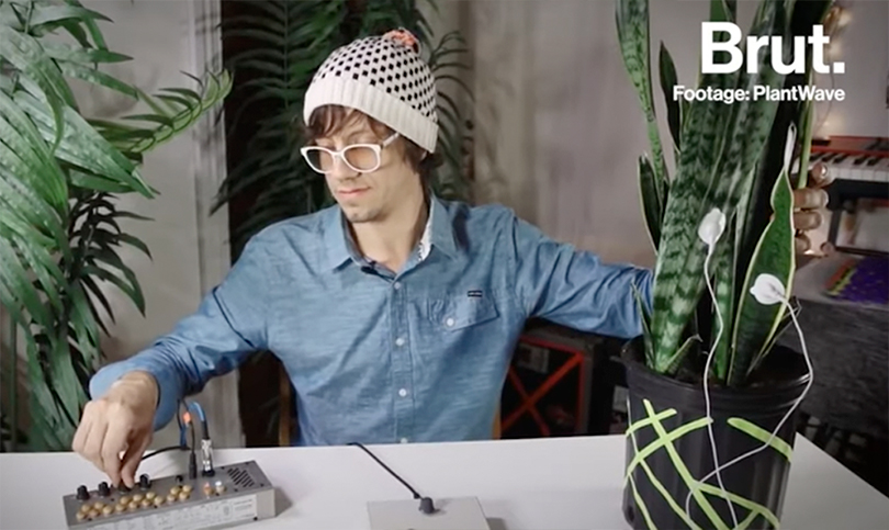 Ever heard a plant sing? A device called 'PlantWave' lets you tune