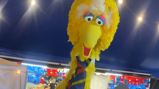 19 Apr Big Bird SA Police