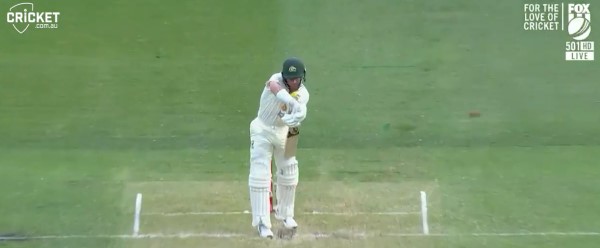 harris_cricket.jpg