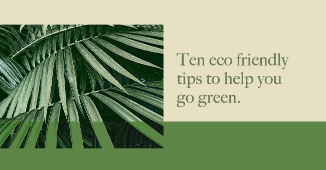 Ten eco friendly tips to help you go green