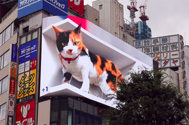cat tokyo billboard