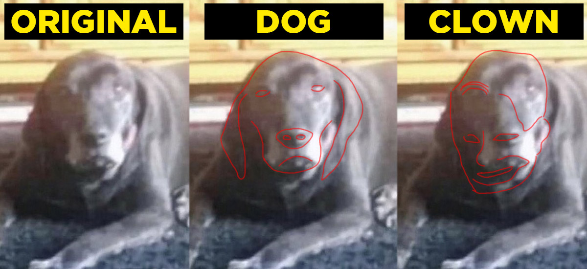 20220325 creepy clown or dog comparison