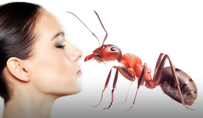 20220404 girl smell ants header