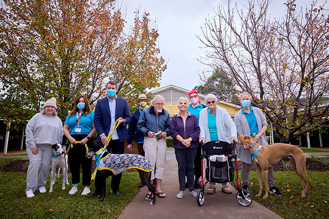 A supplied image obtained on Monday, June 6, 2022, of HammondCare CEO Mike Baird with Horsley residents Thelma and Delores. Rescued greyhounds are being given new life by adding to the lives of aged care residents. (AAP Image/Supplied by Matt Jewell) NO ARCHIVING, EDITORIAL USE ONLY
