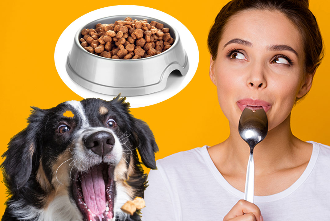 dog food taster