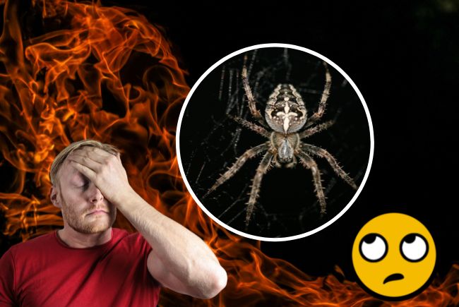 feature man fire spider